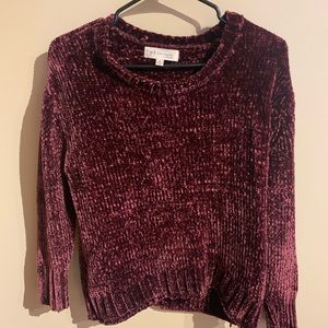 Philosophy Maroon Sweater